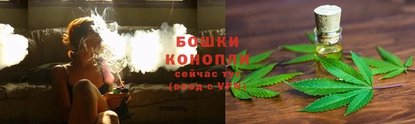 эйфоретик Белоозёрский