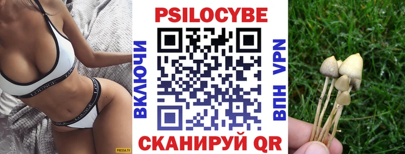kraken сайт  купить наркоту  Кодинск  Псилоцибиновые грибы MAGIC MUSHROOMS 